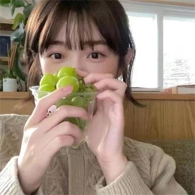 加菲猫的幸福生活第二季